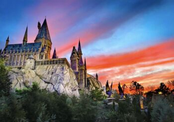 "E' la Bacchetta a scegliere il Mago"... Parola di Always Wands
